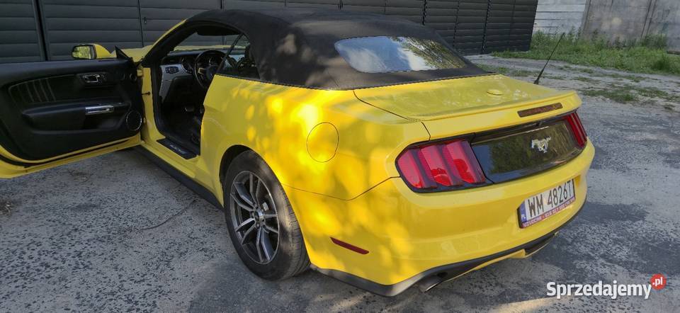 Ford Mustang 23 310 koni cabrio w pięknym Mrozy