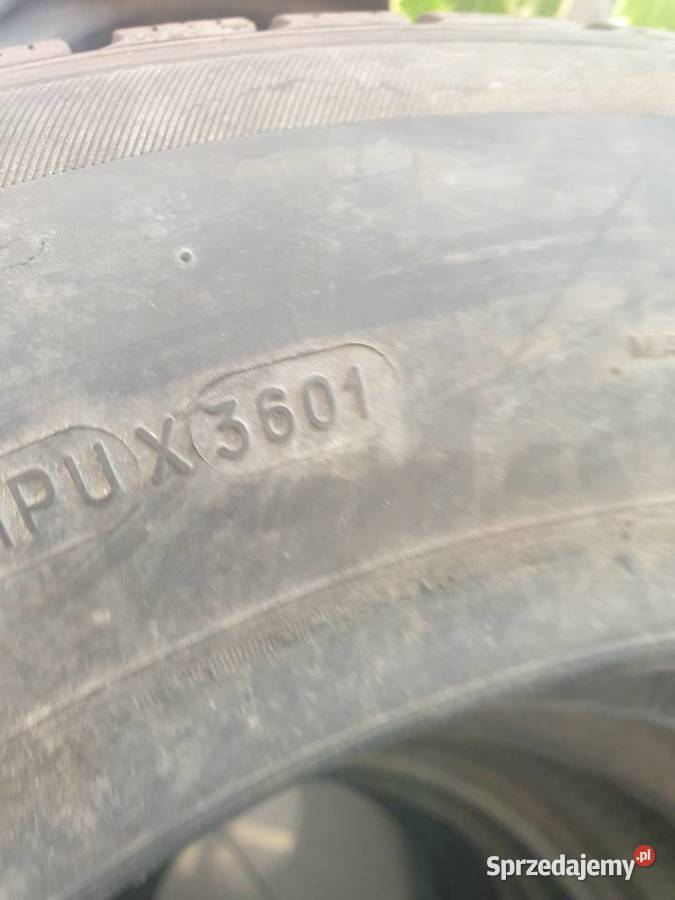 Opona Michelin Pilot Alpin zima 19565R15 Michelin sprzedam