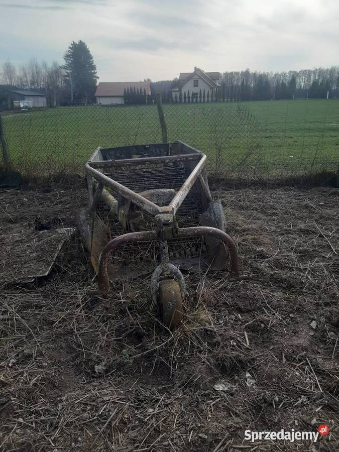 Sprzedam kopaczke Iława