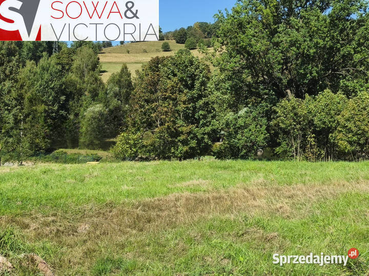 Działka w cichej uliczce z prądem budowlana Sprzedaż Głuszyca