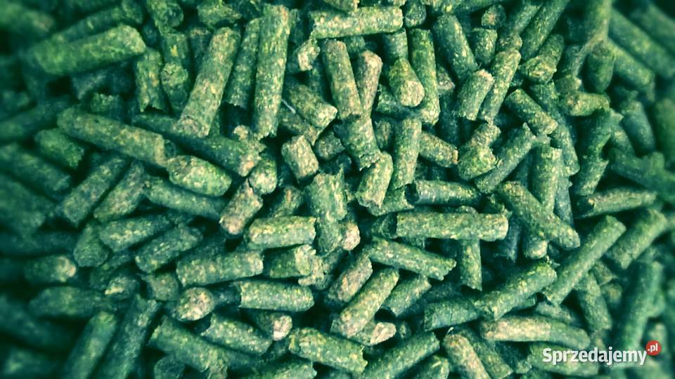 Lucerna granulowana królików koni idrobiu kóz Pozostałe Kętrzyn