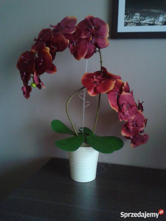 Sztuczny storczyk żywy NOWY 60 sztuczne kwiaty Radomsko