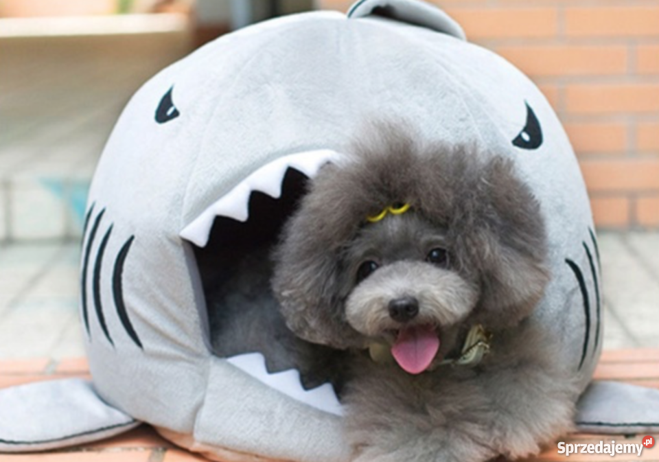 Legowisko kota psa REKIN domek pufka wielkopolskie Poznań