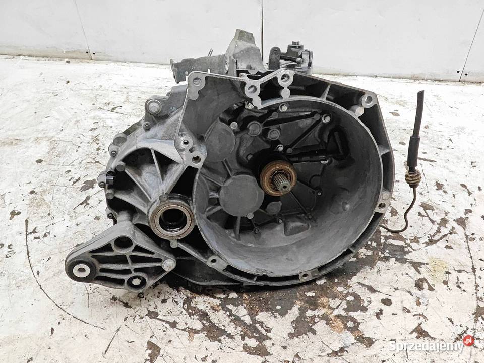 Ford Focus III 16 TDCI Skrzynia Biegów Manual Opole Lubelskie