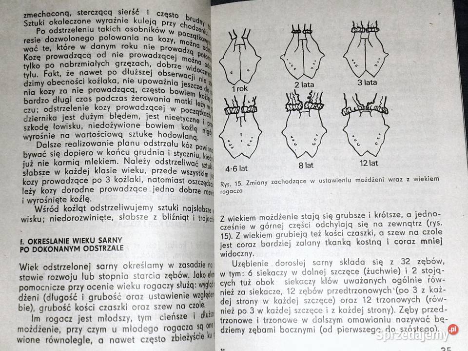 Podręcznik selekcjonera zwierzyny Tadeusz Pozostałe Chełm