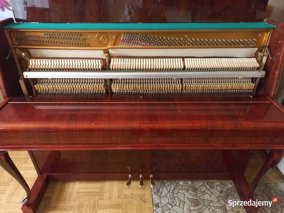 Pianino Calisia model Chippendalle stan nowe małopolskie Bochnia