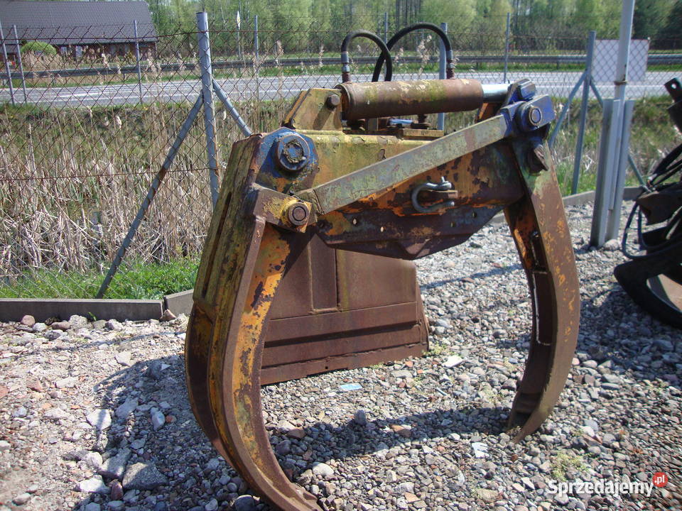 kleszcze zrywkowe Czaplinek