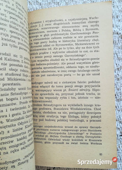 Uśmiech i poezja Jana Sztaudyngera Wojciech Białystok