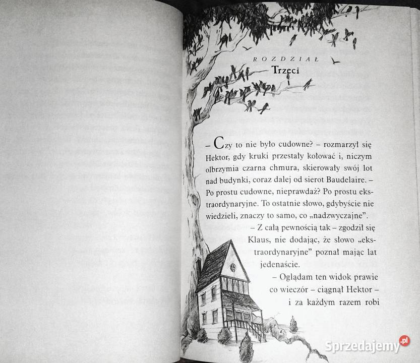 Wredna wioska Seria niefortunnych zdarzeń Lemony lubelskie Chełm