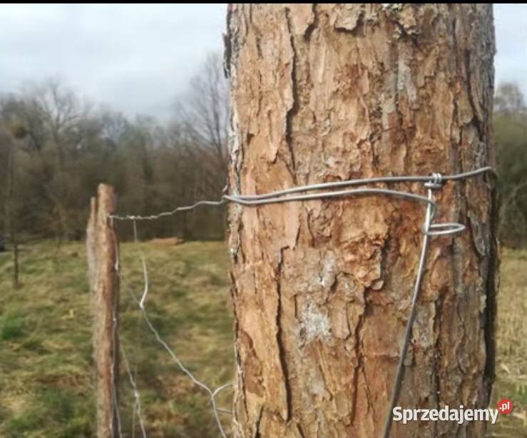 SIATKA ogrodzeniowa LEŚNA 1801360 L rolka 50 m Częstochowa sprzedam