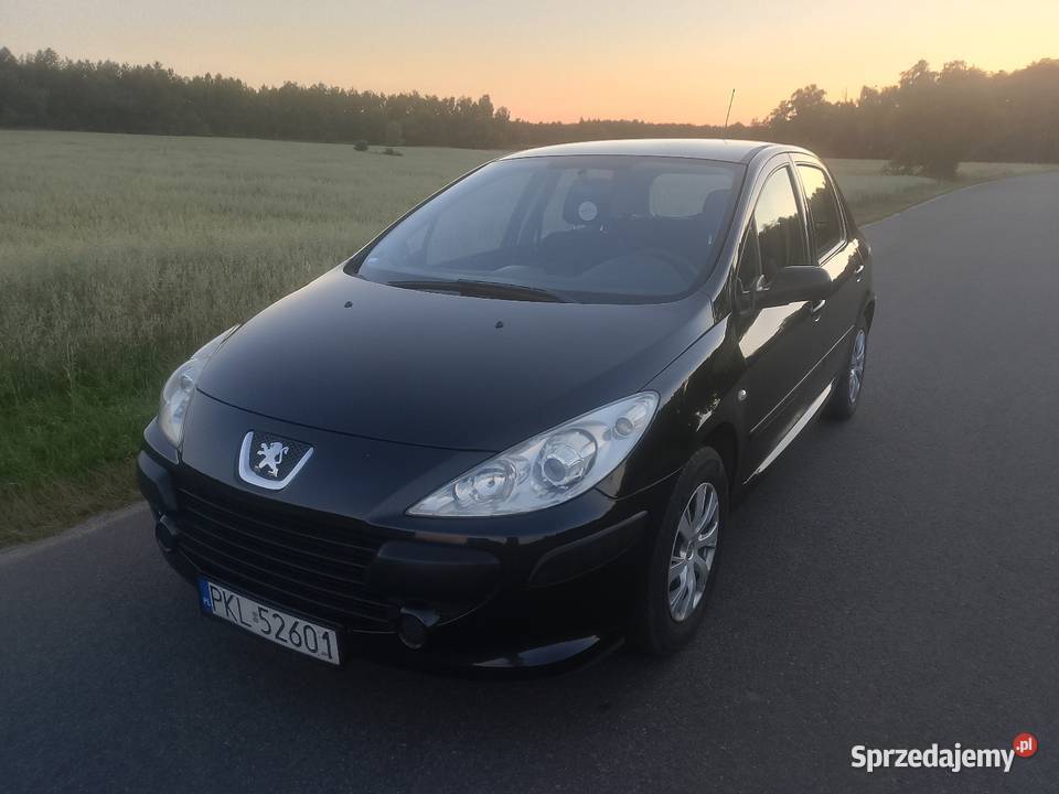 Peugeot 307 16 HDi 1600cm3 Turek