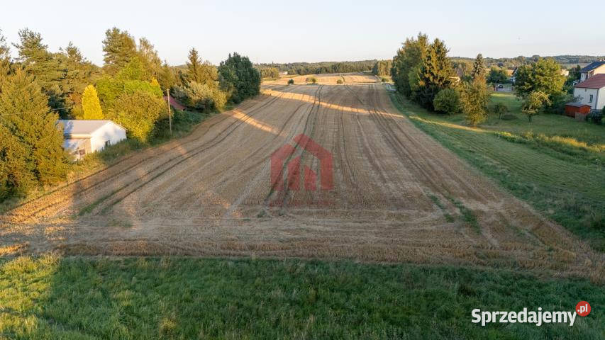 Działka 1000m Brzezówka