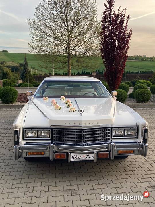 Zabytkowe autosamochód do ślubu Cadillac Wynajem pojazdów Busko-Zdrój