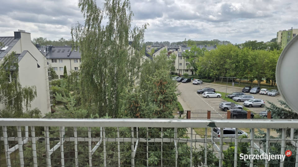 Wynajmę 4 pokojowe mieszkanie 77m2 Centrum Liczba pokoi 4 mazowieckie Warszawa