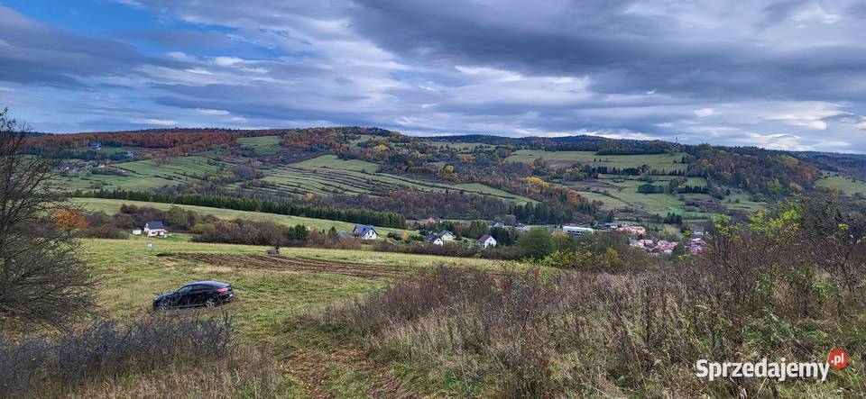 Działka rolno leśna w Baligrodzie 25 ha podkarpackie Baligród