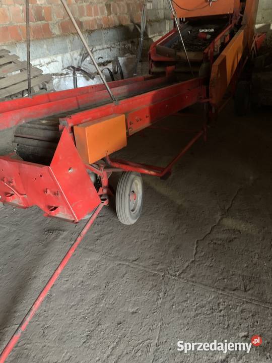 Sortownik do ziemniaków Pucki wielkopolskie Kórnik sprzedam