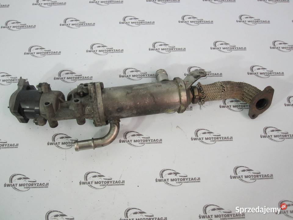 RANGE ROVER SPORT 27 D 276DT 190 chłodniczka Recyrkulacja spalin EGR Kielce sprzedam