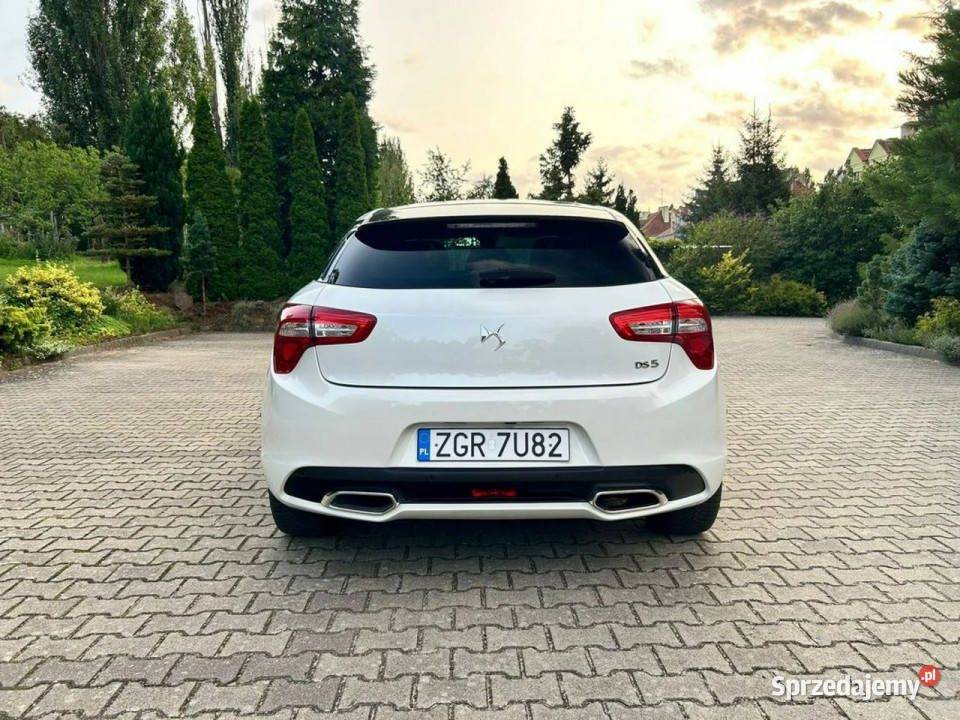 DS Automobiles DS 5 DS 5 20 BlueHDI Panorama zachodniopomorskie Szczecin