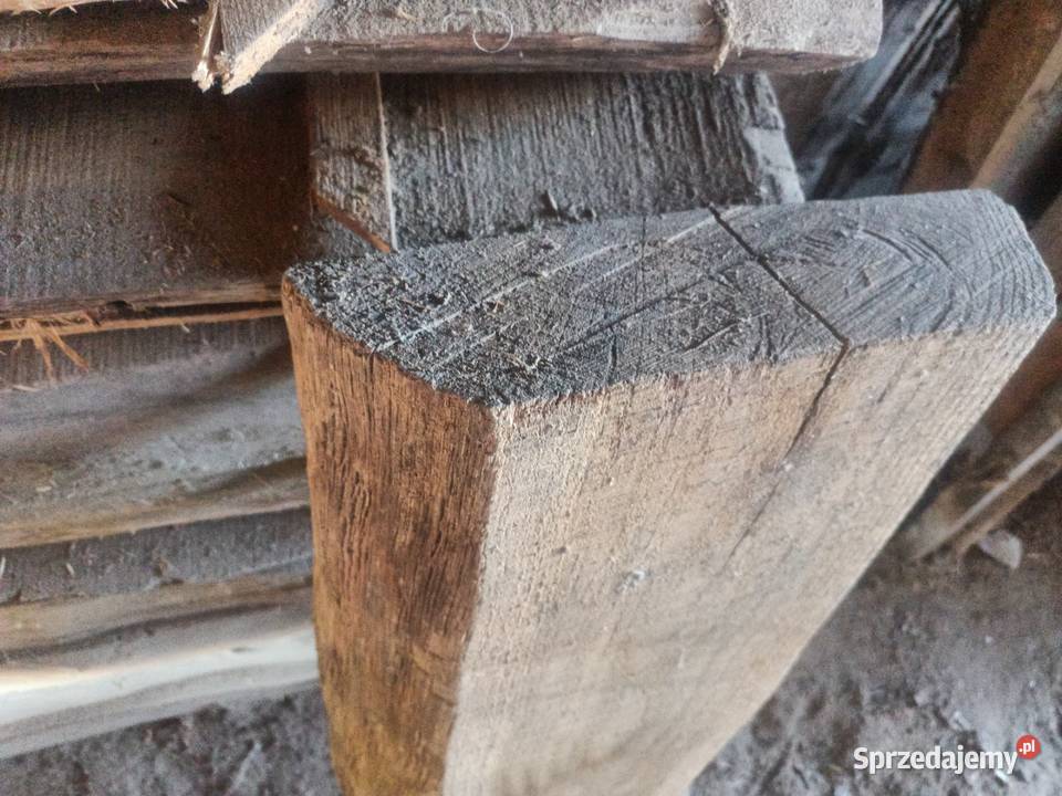 Brusy Dębowe 2500 calość