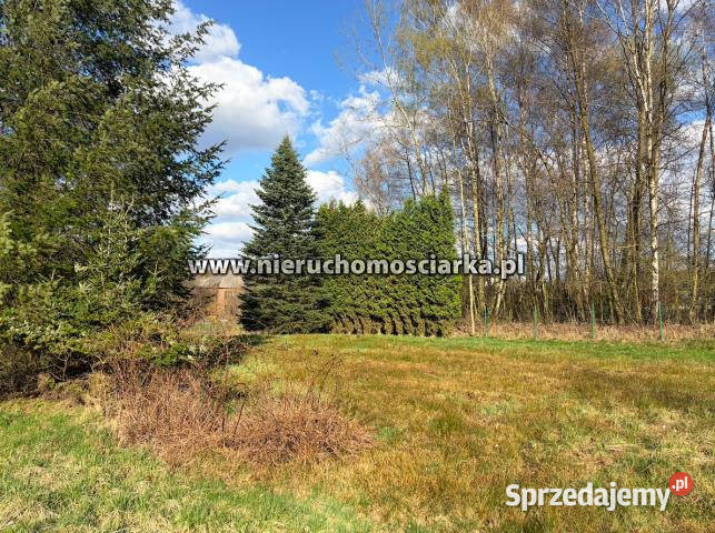 Działka 3750 metrów Wodzisław Śląski gaz