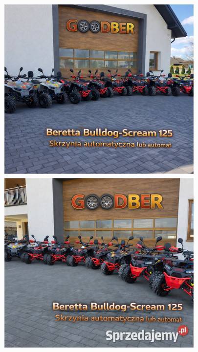 Quad Berreta Scream Bulldog 120 ccm Gwarancja Bieliny