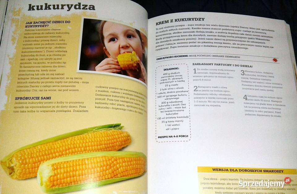 25 sposobów na niejadka Fiona Faulkner Chełm