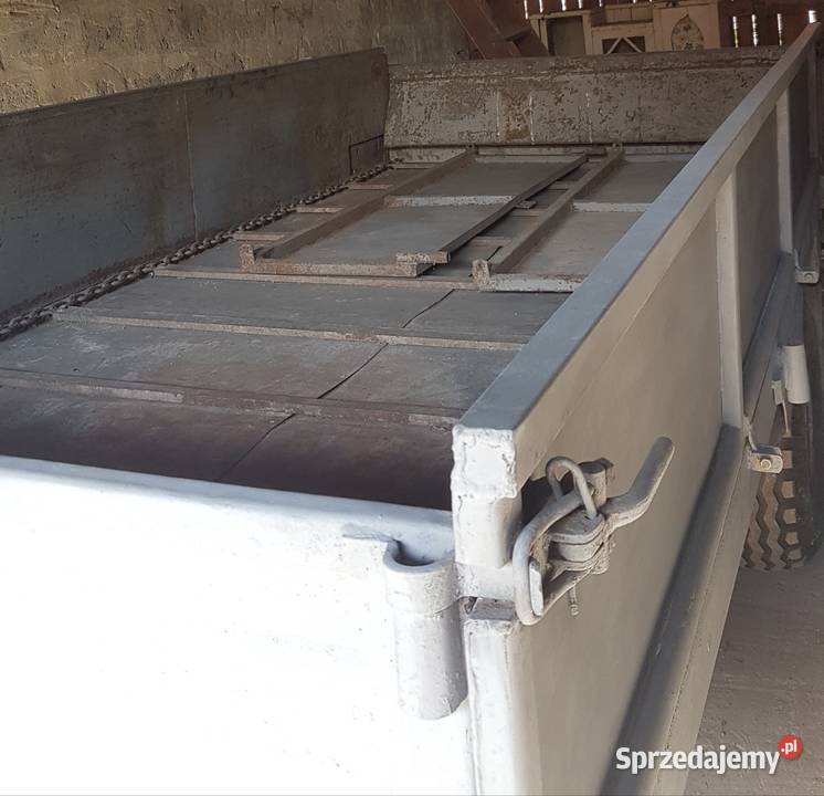 Rozrzutnik świętokrzyskie Wiślica