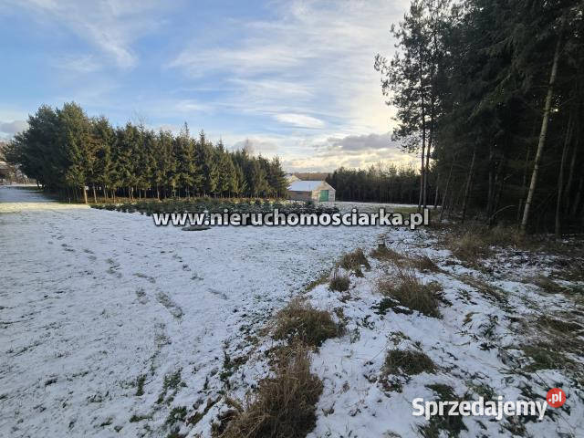 Działka Gorzyce 54060m2 54060m2 sprzedam