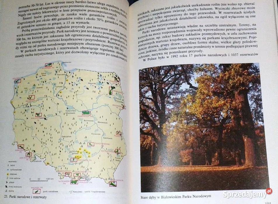 Geografia Polski Podręcznik kl 8 Stanisław Zając miękka Chełm