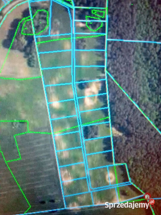 Ogłoszenie działka 3000m2 Nowe Krzywe 85zł/m2