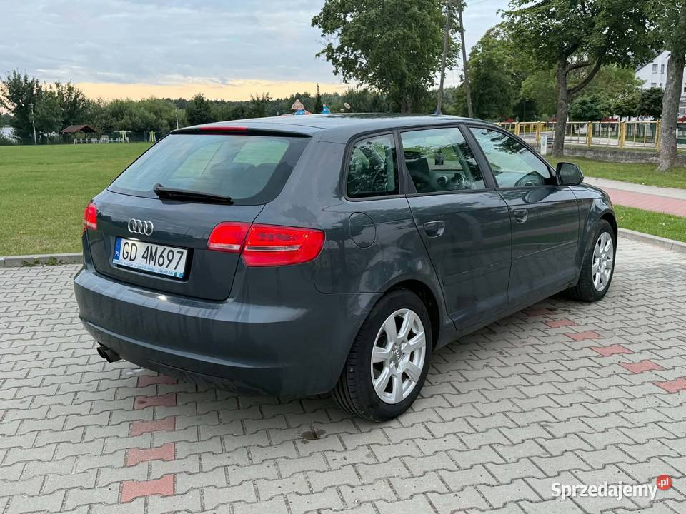 Audi A3 8P Sportback 19 TDI 105 2009r Diesel Malbork