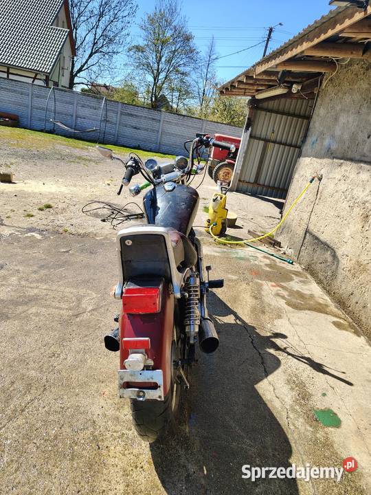 Honda shadow vt750c Niedźwiedź