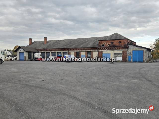 wynajmu lokalu Gorzyczki 200m2 biurowy