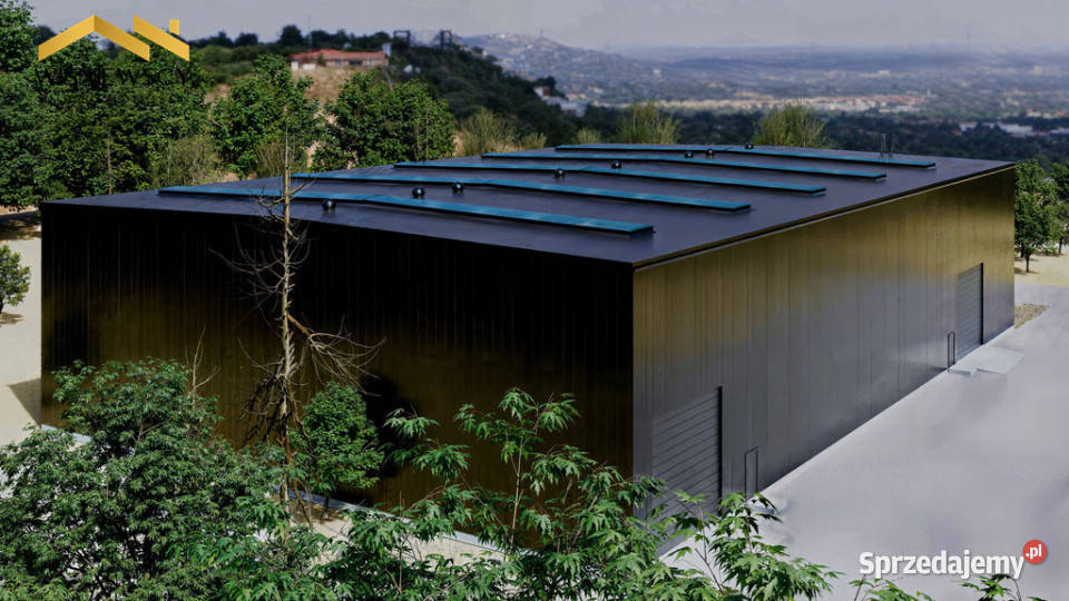 Hale produkcyjne biura 10 000 m działki Nowina