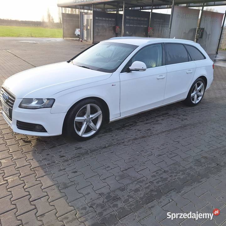 Audi A4B8 Brzezie