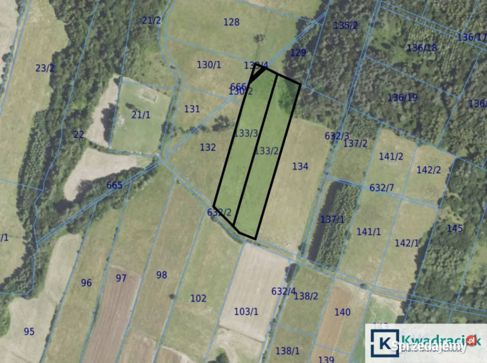 Grunt Brzezowa 9500m2