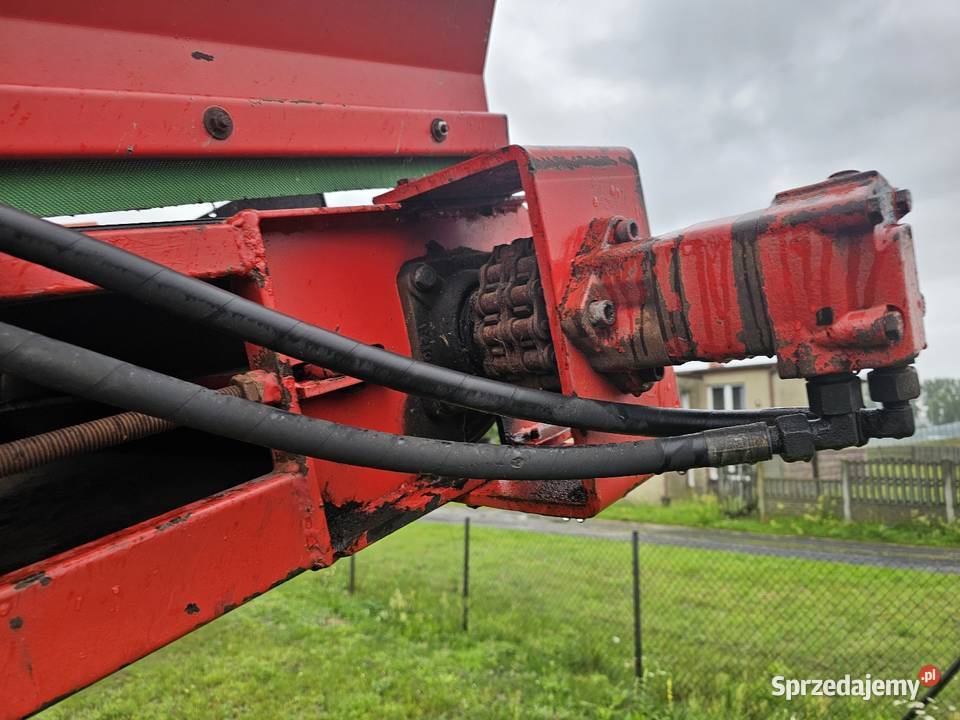 Taśmociąg podajnik bunkier kosz zasypowy nieuszkodzony Gniezno sprzedam