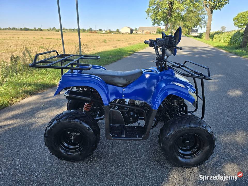 Quad Model Bmw 125cc Automat 11r Stan elektryczny starter kujawsko-pomorskie Kruszwica