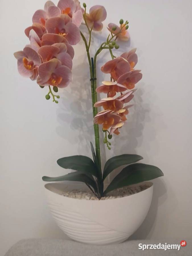 Storczyki sztuczne sprzedam