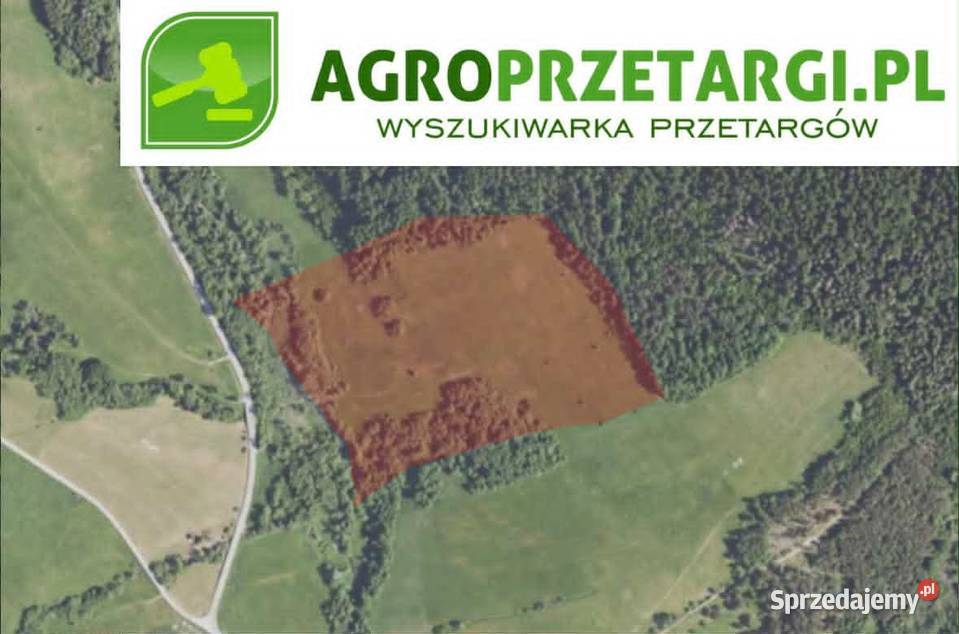 Dzierżawa 1110 ha gruntu rolnego Jasło