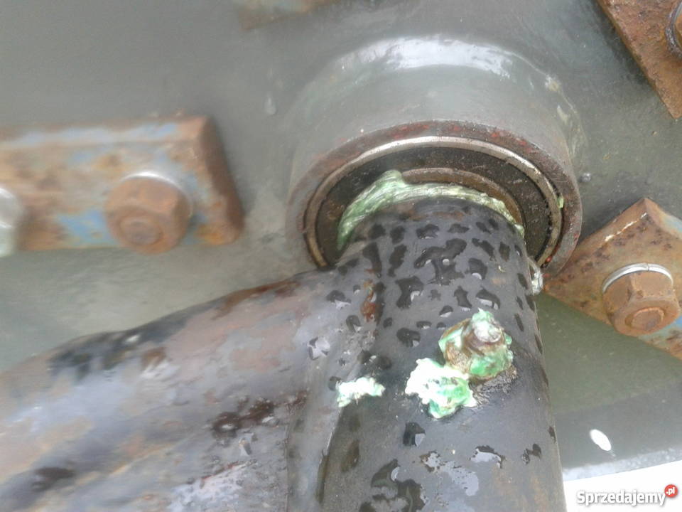 SPRZEDAM PAJĄKA nieuszkodzony Winnica sprzedam