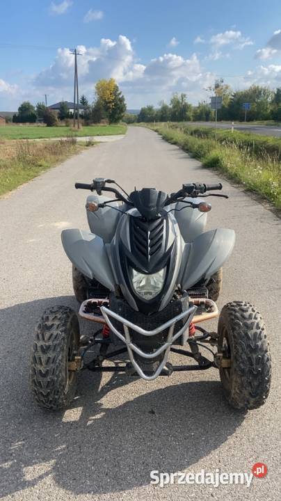 Dinli dl801 300 quad - ATV