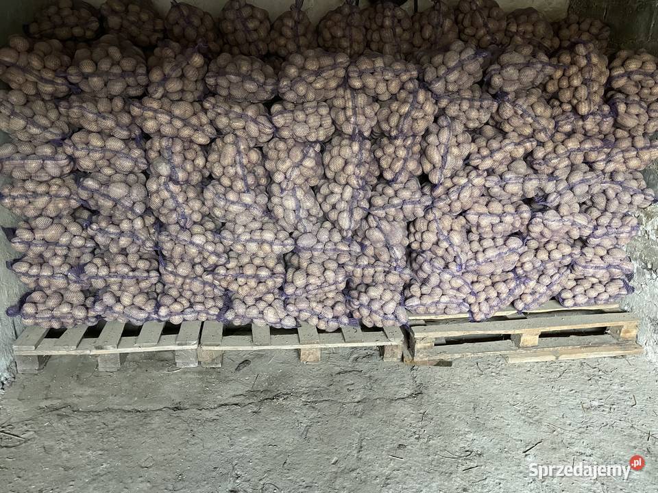 Sprzedam ziemniaki z możliwością transportu świętokrzyskie Górno