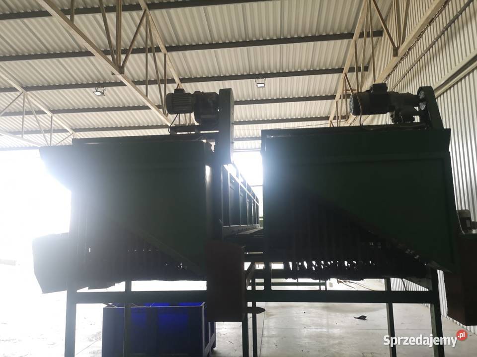 Sortownik do ogórków 34 łańcuchy Czermin sprzedam