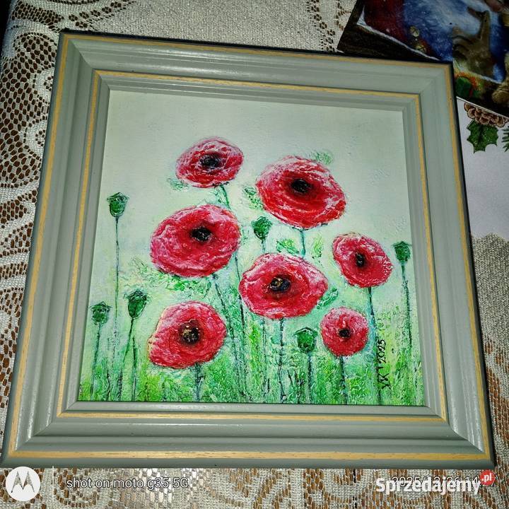 Mączki w zieleni lubelskie