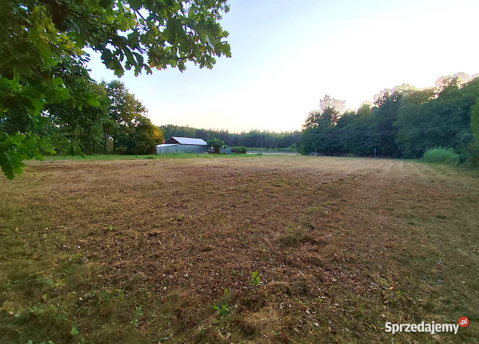 Działka budowlana Kazimierza Dolnego Kazimierz Dolny