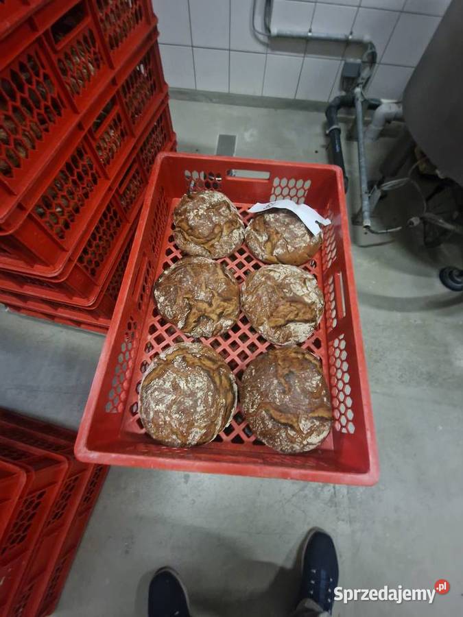 Rozdrabniacz fermentator suchego chleba Rzeszów sprzedam
