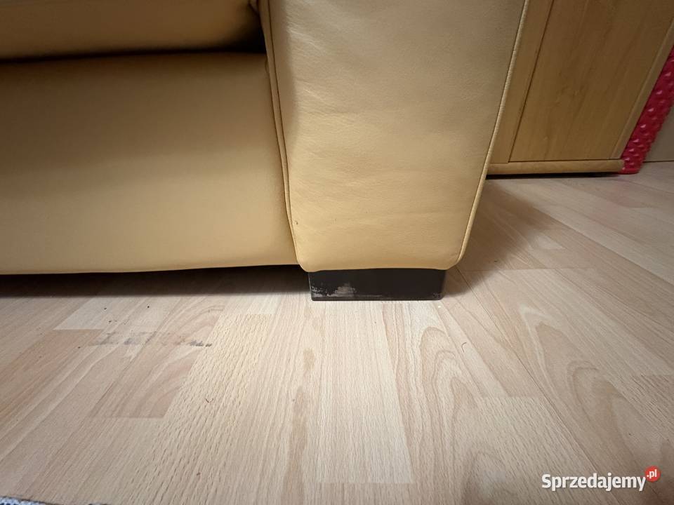 Sprzedam skórzaną sofę Sofy i kanapy Głubczyce