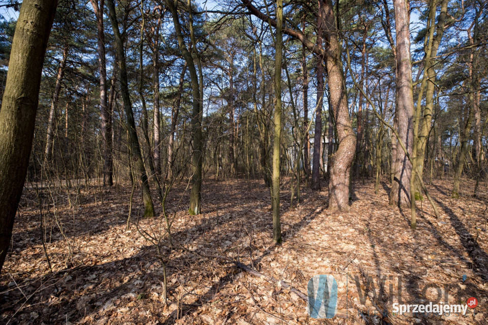 Działka na sprzedaż 5453m2 Otwock