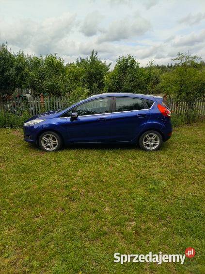 Ford Fiesta 16 TDCi wielkopolskie Górnica
